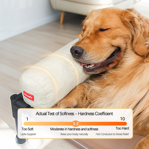 Langlebiges Atmungsaktives Netz-Hundebett, Ganzjahres-Erhöhtes Camping-Bett für Mittelgroße & Große Hunde, Abnehmbar & Waschbar - Product Image 2