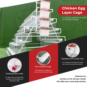 Cage à poules pondeuses de <span class=keywords><strong>type</strong></span> A, 4 niveaux, 4 portes, cages à poules pondeuses en batterie, poulaillers pour équipement agricole - Product Image 2