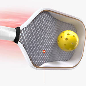 2025 Persesus Pro IV Pickleball Paddle con nucleo GEN4 da 16mm Raw per Toray T800 in fibra di carbonio USAPA omologato per esterno - Product Image 5