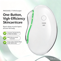 Appareil d'infusion cutanée pour la beauté à domicile, masseur facial et cervical portable à micro-courant, lumière colorée, vibration, instrument de beauté Gua Sha