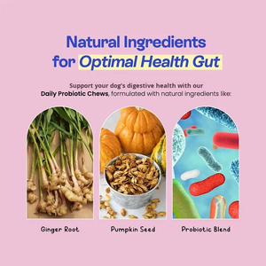 חטיפי פרוביוטיקה לכלבים של OEM משפרים את בריאות המעיים, מקדמים עיכול, מאזנים את פלורת המעיים, חיזוק מערכת החיסון, תוסף תזונה לחיות מחמד. - Product Image 4