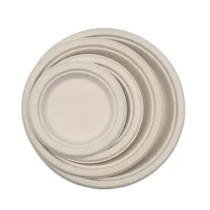 Chinese Supplier Pizza Paper Plate Bagasse Salad Plates Paper Plates For Sale
