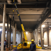 Mini-grue araignée de 12 tonnes avec service OEM/ODM personnalisé, directement de l'usine pour les acheteurs en gros et les commandes en vrac