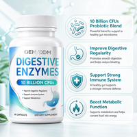 Capsules Probiotiques Véganes OEM/ODM : Enzymes Digestives et Complexe Prébiotique pour la Santé Intestinale, l'Équilibre Digestif et le Soutien au Bien-être