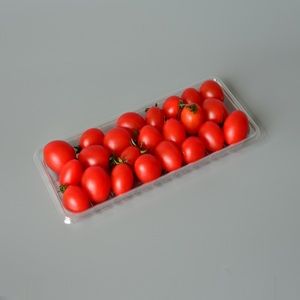 <span class=keywords><strong>Plateau</strong></span> en plastique jetable <span class=keywords><strong>de</strong></span> grain <span class=keywords><strong>de</strong></span> bois <span class=keywords><strong>de</strong></span> supermarché pour l'emballage d'aliment frais pour les légumes fruits <span class=keywords><strong>de</strong></span> <span class=keywords><strong>mer</strong></span> Sushi à <span class=keywords><strong>emporter</strong></span> frais élégant - Product Image 4