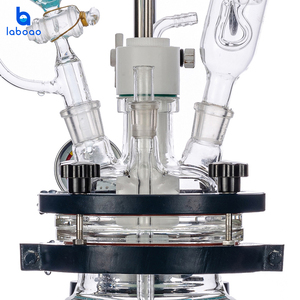 LABOAO Lab 2L Reactor de vidrio con camisa al vacío Biorreactor de mezcla de agitación química - Product Image 3
