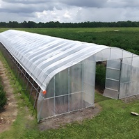 Serre agricole en polyéthylène transparent à simple portée préfabriquée, vente en gros, serre pour tomates et légumes d'occasion