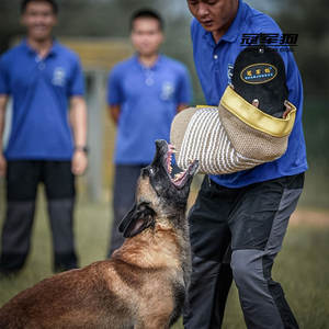 Heavy Duty Dog Bite Sleeve Arm Protector Équipement <span class=keywords><strong>d</strong></span>'entraînement <span class=keywords><strong>d</strong></span>'agilité Combinaison de morsure professionnelle pour les grands chiens Attack Training et K9 - Product Image 6