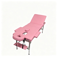 3-teilige Klappbare Aluminium-Massageliege für Schönheitssalons, Tragbare Faltbare Spa-Tattoo-Akupunktur-Massageliege