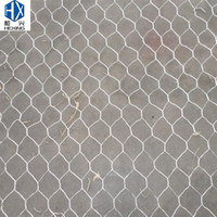 Rouleau de grillage soudé galvanisé pour cages à poulets, canards, oies et élevage de volailles