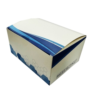 <span class=keywords><strong>Test</strong></span> de grossesse à domicile Détection précoce <span class=keywords><strong>Test</strong></span> rapide <span class=keywords><strong>HCG</strong></span> <span class=keywords><strong>Cassette</strong></span> - Product Image 6