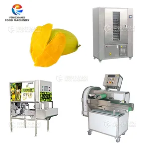 Opération facile Éplucheur industriel de pomme de fruit mangue poire dépouillant la machine de traitement de séchage de mangue