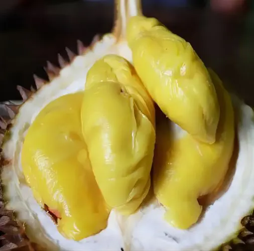 Wholesale Malaysia Frozen Durian  High Quality Natural Musang King Durian