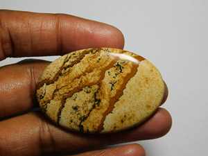 100% naturel de qualité supérieure image jaspe lisse taille libre Cabochon pierre précieuse au prix de gros du fabricant et exportateur indien - Product Image 2