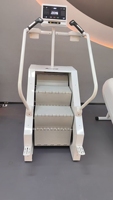 Prix d'usine chinois grimpeur d'escalier de gymnastique commerciale exercice cardio maître d'escalier commercial