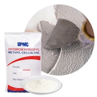 Fournisseur de HPMC de qualité industrielle pour les applications d'adhésif pour carrelage, de mastic auto-nivelant et de couche de finition.