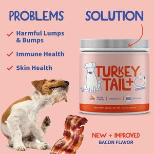 Suplemento Orgánico de <span class=keywords><strong>Hongos</strong></span> para Perros, <span class=keywords><strong>Hongos</strong></span> Cola de Pavo para la Inmunidad, Eliminador de Verrugas y Nódulos, Probiótico en Polvo - Product Image 3