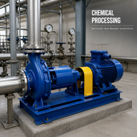 Pompe centrifuge horizontale en acier inoxydable, personnalisable, à haut débit, à haute pression, sans fuite, pour produits chimiques