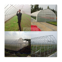 Filet d'ombrage industriel, fabricant chinois, conteneur, filet à insectes, vanille, croissance, Poly Tunnel, système de serre pour l'agriculture