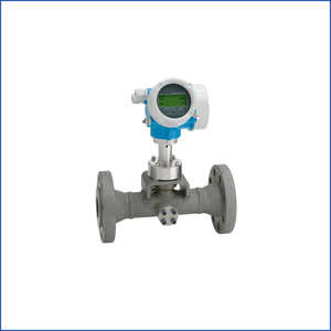 Medidor de Flujo de Área Variable de Acero Inoxidable E+<span class=keywords><strong>H</strong></span> Proline Promag <span class=keywords><strong>P</strong></span> 200 Original para Agua Líquida y Aceite OEM - Product Image 4
