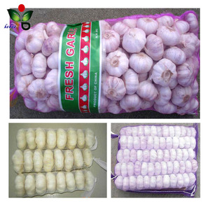 Small <strong>Net</strong> <strong>Bag</strong> for Garlic 1kg 5kg 10kg - Product Image 5