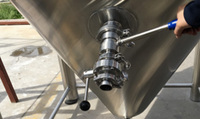 Cuves De Fermentation pour Mini brasserie, clé en main Ss316l 200L