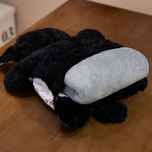 ผ้าห่มนุ่มลายการ์ตูนน่ารัก พร้อมหมอนในตัว บรรจุขวดน้ำร้อน ใช้เป็นที่อุ่นมือ ผ้าห่มเดินทาง และหมอน 2 in 1 - Product Image 3