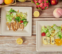 Assiette carrée en bagasse de canne à sucre de 10 pouces, structure robuste, compatible micro-ondes, vaisselle de restauration