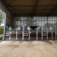 Centre équestre sur mesure haut de gamme, hangar équestre galvanisé et thermolaqué de 4 m, durable en WPC, box pour chevaux, écurie
