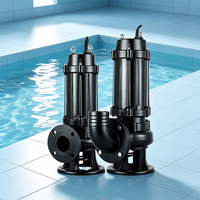 Bomba Sumergible de Drenaje de Alto Caudal 264GPM WQ 5HP SS304, Altura de Elevación 164ft, DN50, con Brida, para Aguas Residuales