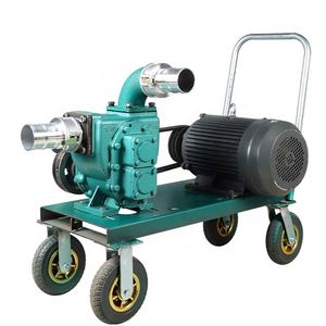 Bomba Sumergible para Lodo y Agua, para Tanques Sépticos, Aguas Residuales, Estanques de Peces, Estiércol de Cerdo, Bomba de Succión - Bomba de Vacío Premium - Product Image 4