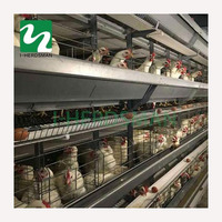 กรงสัตว์ปีกอัตโนมัติ,กรงไก่อัตโนมัติสำหรับฟาร์มปากีสถาน