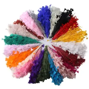 Plumes de dinde de 30 cm, fournitures de chapellerie, fleurs en plumes rayées, couleur teinte, montage pour chapeaux et épingles à <span class=keywords><strong>cheveux</strong></span> - Product Image 1