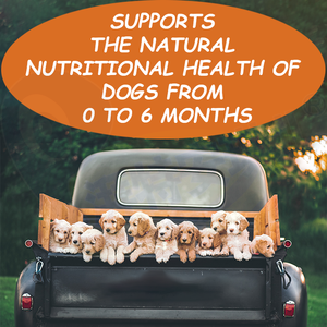 Pet probiotici polvere integratore proteico per cani supporto <span class=keywords><strong>cucciolo</strong></span> digestione dell'intestino cardiovascolare cappotto per la pelle salute Omega 3 per cani - Product Image 5
