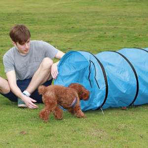 Fabrika açık Pet tünel çadır interaktif ve hareket oyuncak yuva Pet malzemeleri tarama kanal oyuncak - Product Image 2