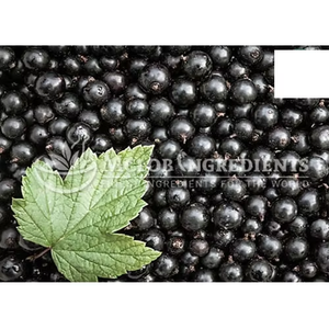 Extracto de Bayas de Saúco en Polvo, Superalimento Natural Rico en Antioxidantes para el Apoyo Inmunológico, Bienestar, Vitalidad y Salud Diaria, a Base de Plantas - Product Image 1