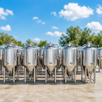 Fermenteur de 1000 L pour brasserie et pub