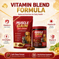 OEM ODM Suplemen Nutrisi Harian Multivitamin Kunyah Lembut untuk Peningkatan Otot Anjing, Kesehatan Pencernaan & Sendi - Produsen