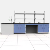 Prix d'usine, banc de travail de laboratoire chimique, taille personnalisée, mobilier de laboratoire, 1 ensemble