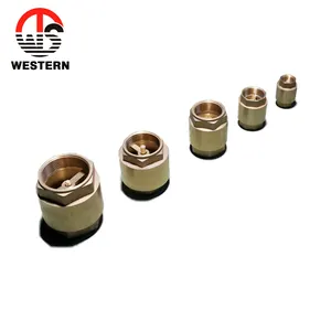 Chinese Manufacturer Light Weight Model Brass Vertical Spring High Pressure Check Valve for Toilet