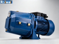 Pompe à jet auto-amorçante JET100L en cuivre avec moteur CC haute pression, pompe à jet électrique à simple étage Rolwal