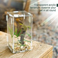 Cage acrylique transparente Cage d'élevage d'insectes et de reptiles en acrylique Vitrine de plantes aquatiques d'aquarium d'aquarium en acrylique