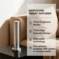 Diffuseur d'arômes intelligent sans eau à grande capacité, prix d'usine, longue durée, ultra silencieux, pour la maison