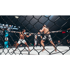 AIDONG-<span class=keywords><strong>jaula</strong></span> <span class=keywords><strong>de</strong></span> lucha tailandesa, <span class=keywords><strong>jaula</strong></span> <span class=keywords><strong>de</strong></span> <span class=keywords><strong>mma</strong></span> <span class=keywords><strong>de</strong></span> tamaño/octogonal <span class=keywords><strong>mma</strong></span>, <span class=keywords><strong>precio</strong></span> <span class=keywords><strong>de</strong></span> venta/octagonal <span class=keywords><strong>mma</strong></span> - Product Image 2