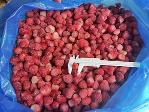 IQF Dâu Đông Lạnh Dâu Tây 2022 Giá Tốt Nhất IQF Trái Cây Chines Đông Lạnh Mùa Mới - Product Image 5