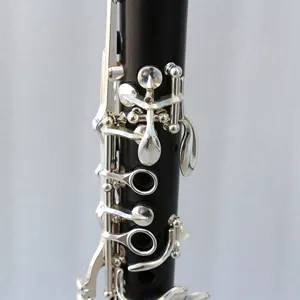 전문 clarinets 특별 지방 소년 배럴 복사 유명 브랜드 클라리넷 저렴한 bb 클라리넷 나무