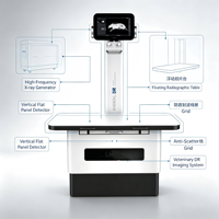 Détecteur de rayons X numérique vétérinaire 32kw avec logiciel d'imagerie Table de réglage électrique Détecteur clinique animale