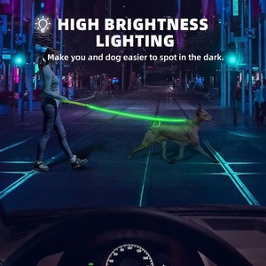 Laisse de corde de chiot lumineuse à LED Offre Spéciale laisse de chien en polyester doux à la mode avec motif imprimé brillant dans le noir - Product Image 4