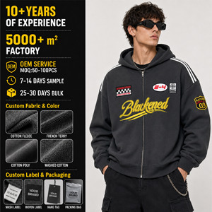 Sudadera con Capucha Casual Personalizable con Estampado y Bordado para Hombre, Estilo Holgado, Hip Hop, para Otoño, Salidas Diarias, Reuniones Sociales - Product Image 1
