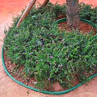 Bordure de jardin JNZ Green Garden en rouleau, flexible, en PE/PVC, écologique, pour pelouse, parterre de fleurs, clôture, bordure paysagère multi-usages pour jardin.